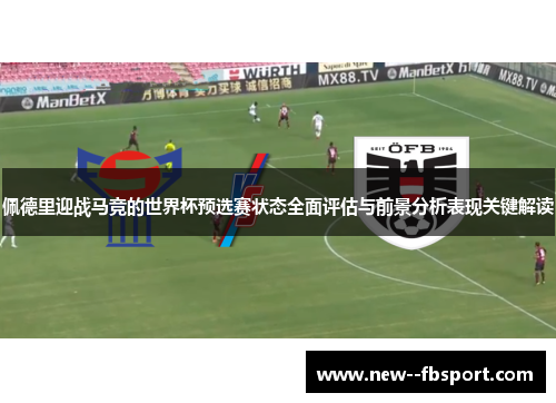 佩德里迎战马竞的世界杯预选赛状态全面评估与前景分析表现关键解读